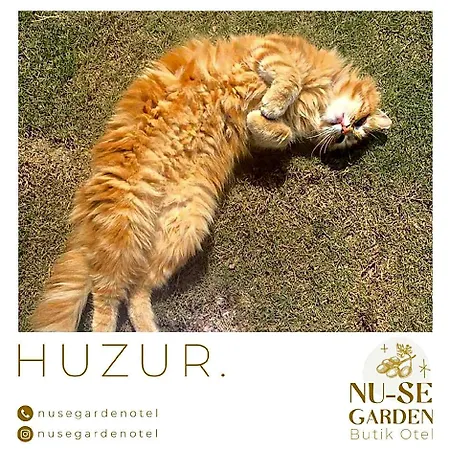 Hotel Nu-se Garden Butik