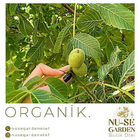 Nu-se Garden Butik